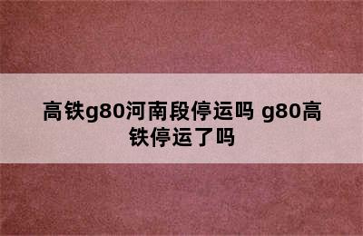 高铁g80河南段停运吗 g80高铁停运了吗